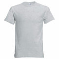A Fruit of the Loom SS048 plain gray T-shirt displayed against a white background.