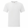 A plain white short-sleeve T-shirt from Fruit of the Loom (model SS430) is displayed against a white background. It features a simple crew neck design, unadorned and emphasizing its clean and basic style.
