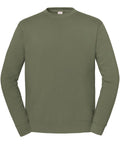 An olive green, long-sleeve crew neck sweatshirt from Sweatshirts is shown against a white background. This plain design features no visible logos, patterns, or embellishments.