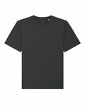The SX142 by Stanley/Stella, a plain dark gray T-shirt featuring short sleeves and a round neckline, is centered against a white background.