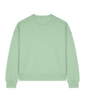 A solid light green long-sleeve crew-neck sweatshirt from Sweatshirts is displayed against a white background.