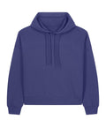 The Hoodies is a plain, long-sleeve blue hoodie with a front pocket, drawstring hood, and ribbed cuffs and hem, shown on a white background.