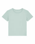 The Stanley/Stella SX781 is a plain mint green t-shirt featuring short sleeves and a round neckline, set against a white background.