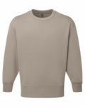 The TR603 by Tri-Dri is a plain, beige crewneck sweatshirt featuring long sleeves. It boasts a soft and comfortable fabric, making it perfect for casual wear. The sweatshirt is showcased against a white background.