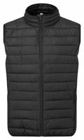 A black, quilted puffer vest from 2786 featuring a front zipper and standing collar, known as product TS040.