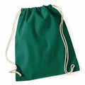 The WM110 drawstring bag by Westford Mill features a green design with white strings.