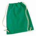 The WM110 drawstring backpack from Westford Mill, featuring a green body with beige strings, laid flat against a white background.