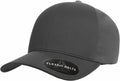Gray baseball cap labeled "YP028" by Flexfit By Yupoong on the visor.
